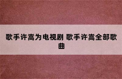 歌手许嵩为电视剧 歌手许嵩全部歌曲